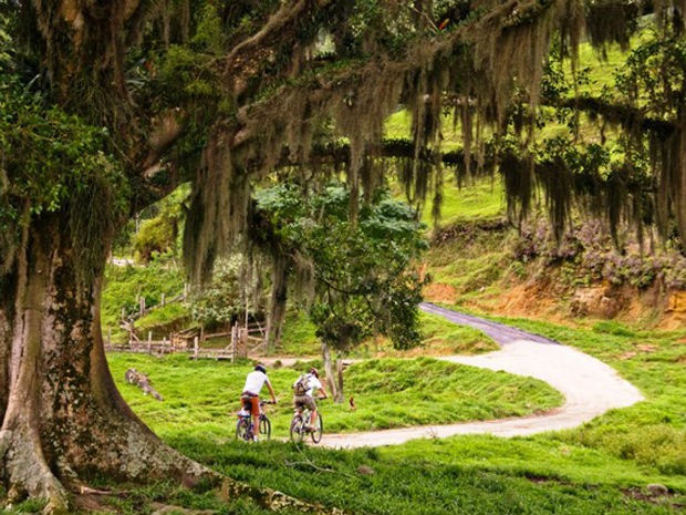 Turistas poderão percorrer os trechos em bicicletas (Foto: Divulgação/Ministério da Saúde)